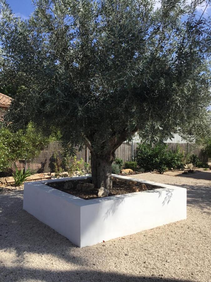 Relax En La Huerta De Murcia Exterior photo